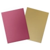Dragon Shield: Koszulki Matte Dual Standard Size - 25th Special Edition - Red/Gold (100 szt.)