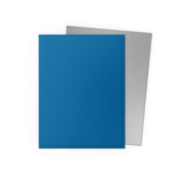 Dragon Shield: Koszulki Matte Dual Standard Size - 25th Special Edition - Blue Silver (100 szt.)