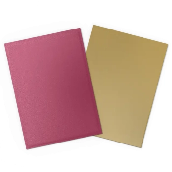 Dragon Shield: Koszulki Matte Dual Standard Size - 25th Special Edition - Red/Gold (100 szt.)